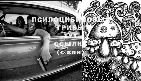 кокаин VHQ Алексеевка