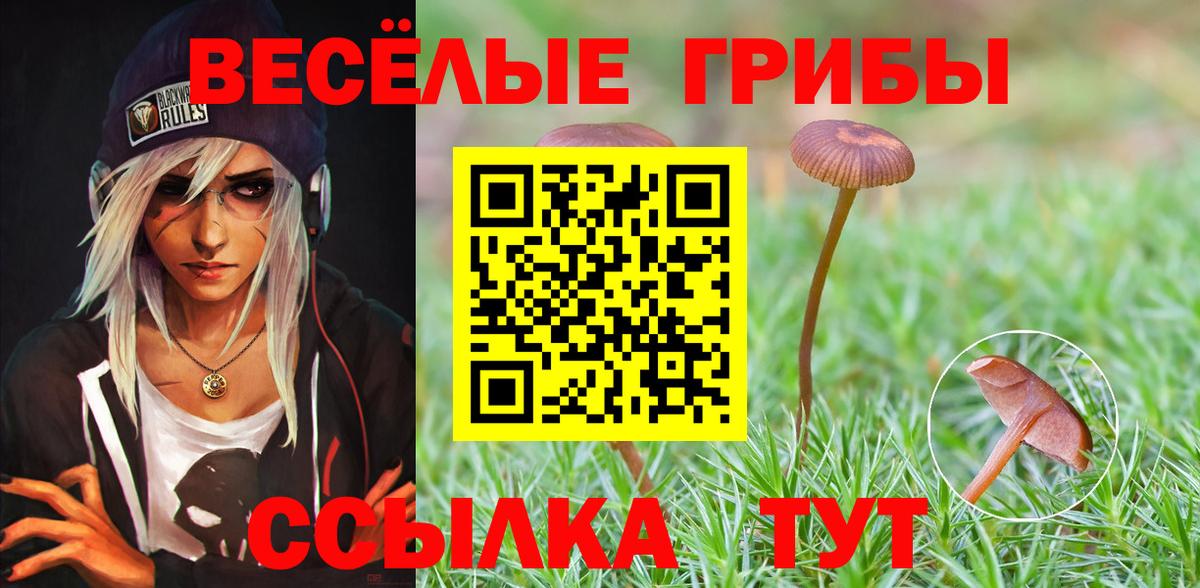 Феодосия  Псилоцибиновые грибы GOLDEN TEACHER  Вход с VPN 