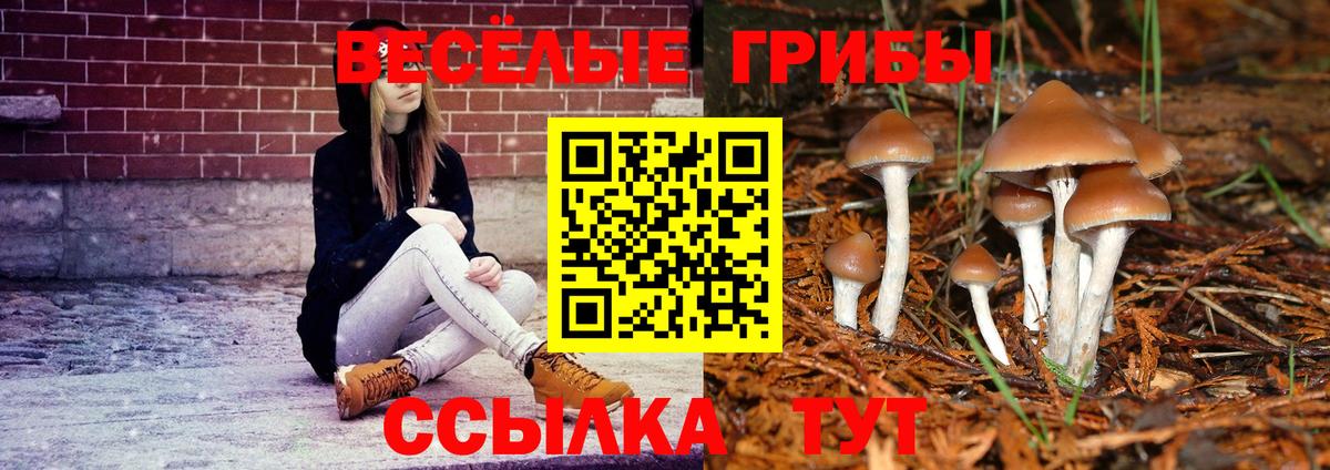 Псилоцибиновые грибы ЛСД Феодосия